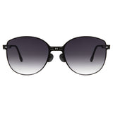 Folding Polarized Sunglasses 1108