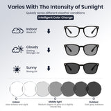 Wing Upgrade Folding & Photochromic