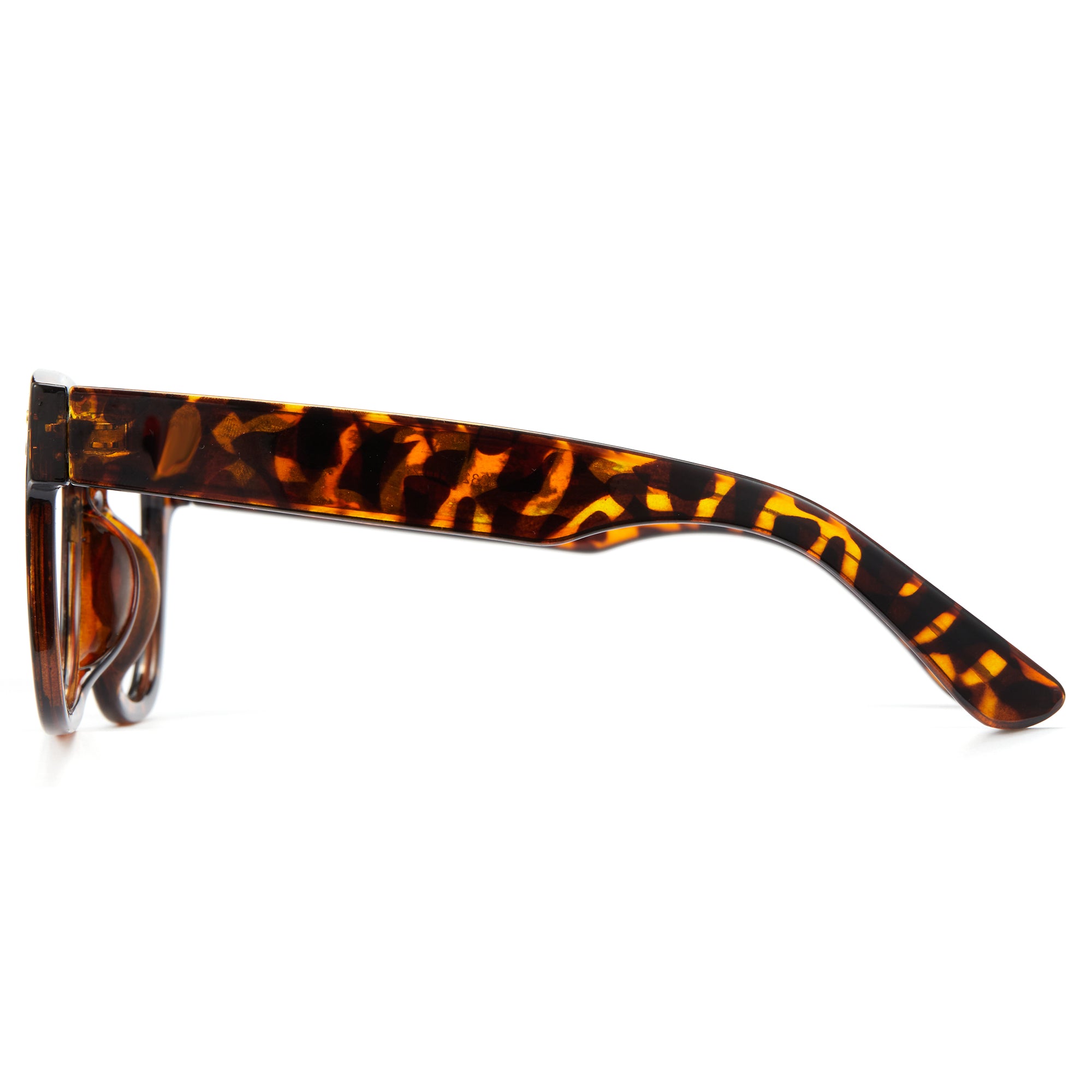 Tortoise thick glasses temples