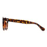 Tortoise glasses temples