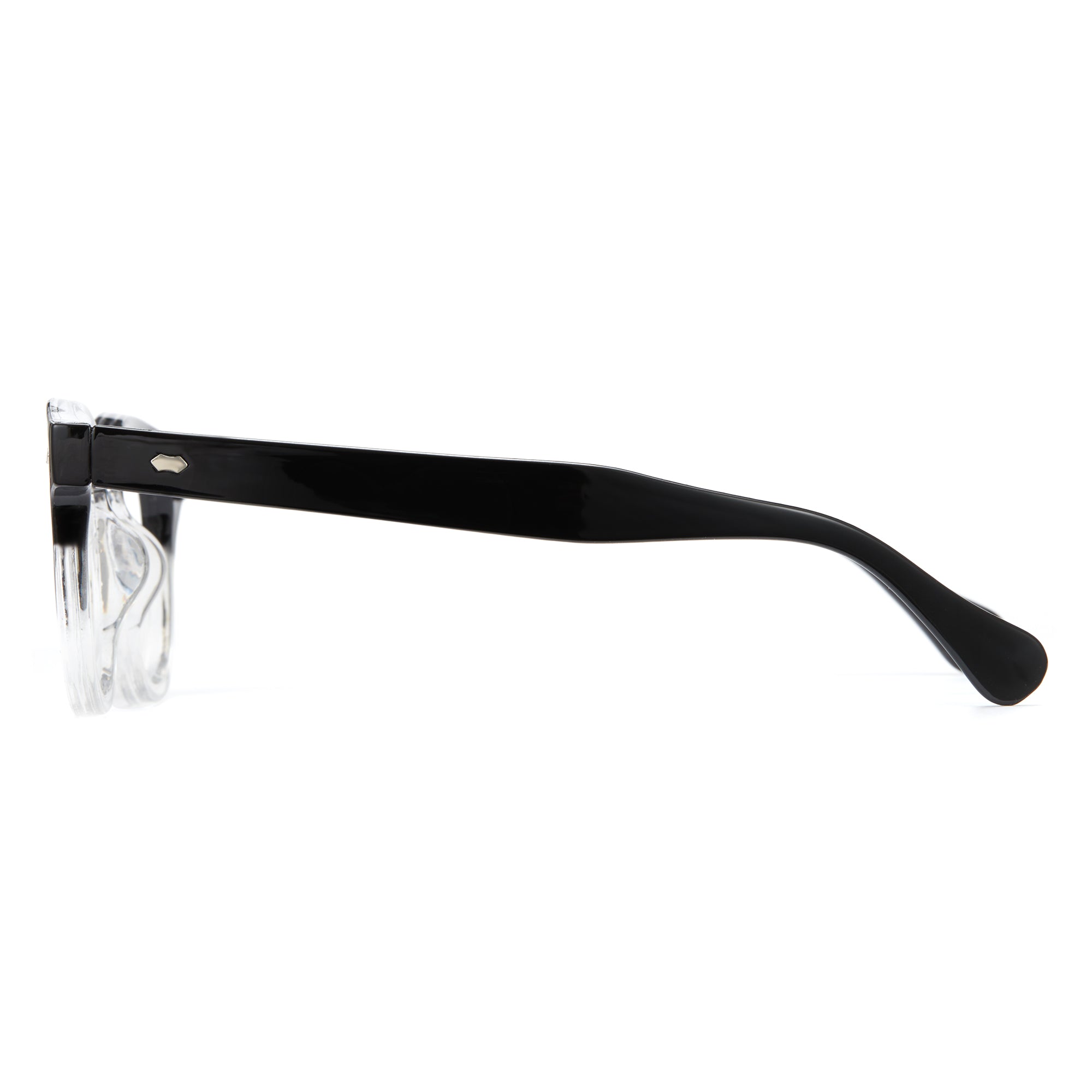 Tortoise Glasses Temples
