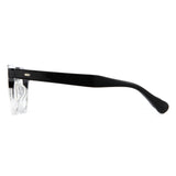 Tortoise Glasses Temples
