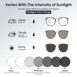 Jola Photochromic