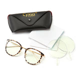 Optical glasses