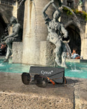 Sunglasses P1021 and case with Cyxus logo in front of a fountain