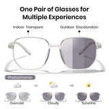 Photochromic Glasses Garden