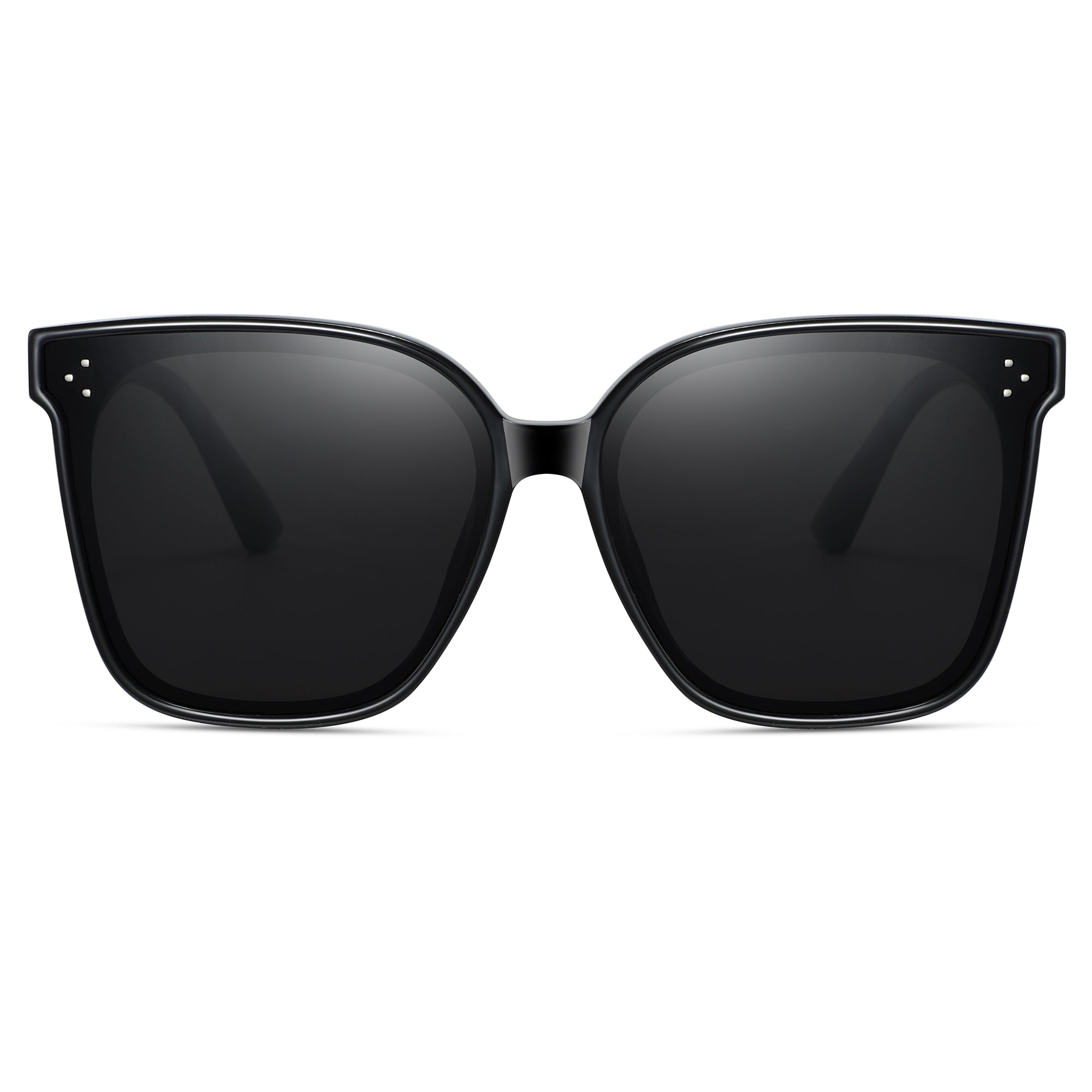 Magnetic Sunglasses 1055