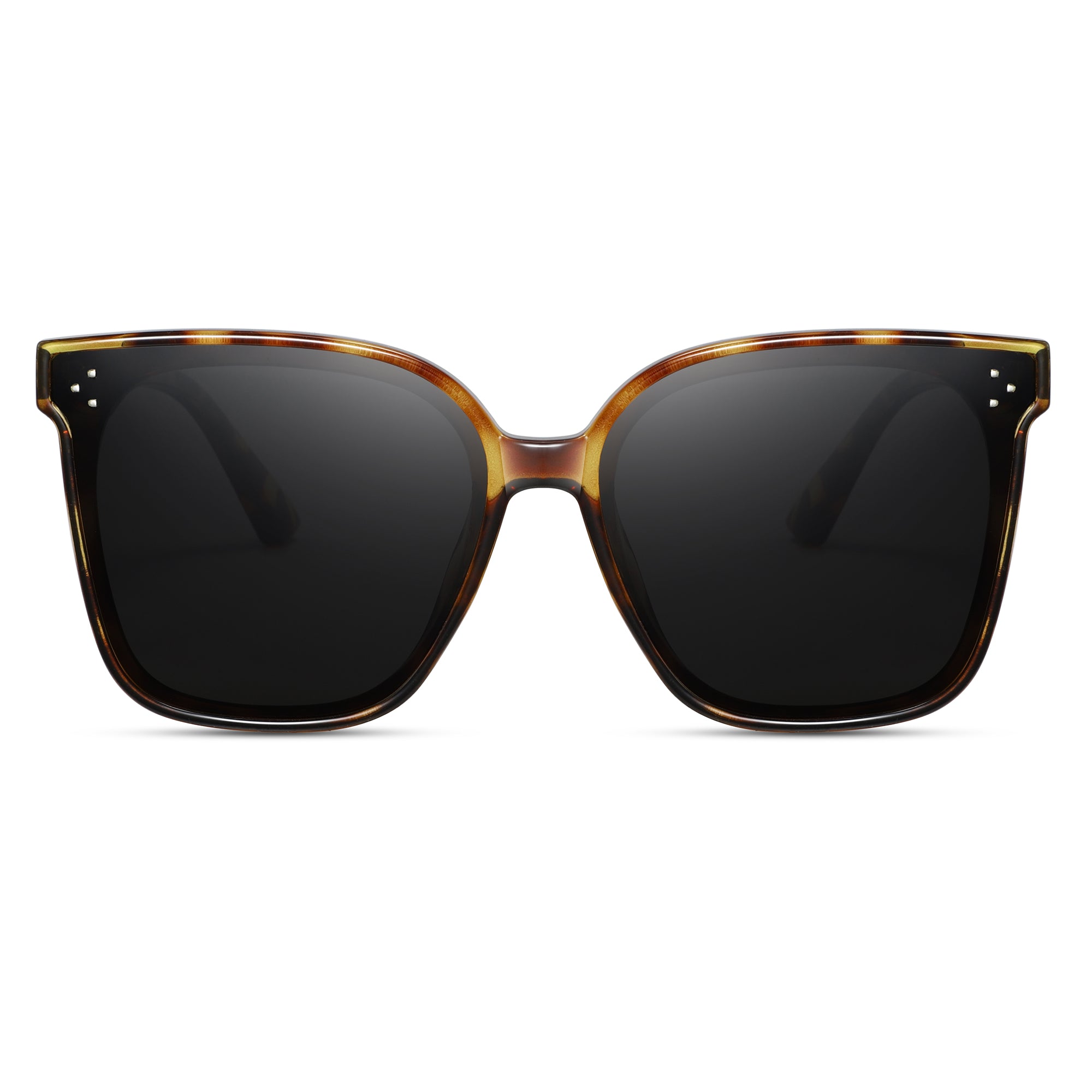 Magnetic Sunglasses 1055