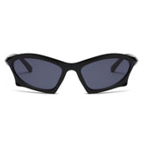 Y2K Style Sunglasses 1081