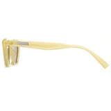 Polarized Sunglasses 1146