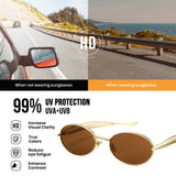 1343 gold oval sunglasses brown tea lenses non-polarized AC lens metal frame vintage retro daily shades