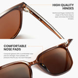 Brown sunglasses with highlighted high-quality hinges and comfortable nose pads on a white background.