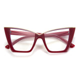 Large Frame Computer Glasses 8298