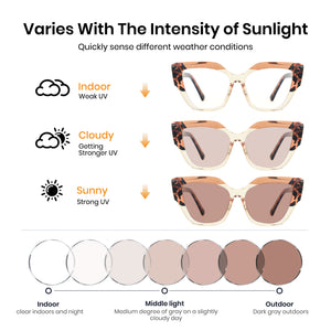 Photochromic Glasses 8371