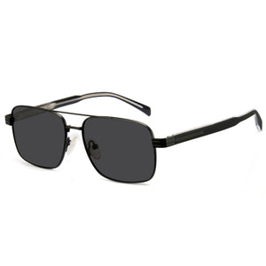 Polarized Sunglasses AP1376