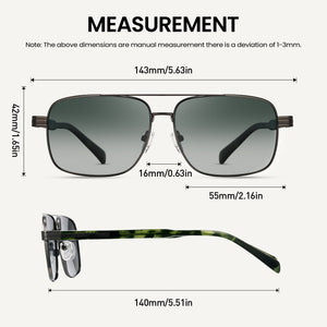Polarized Sunglasses AP1376