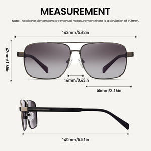 Polarized Sunglasses AP1376