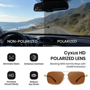 Polarized Sunglasses AP1376