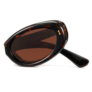 foldable polarized oval sunglasses brown TAC lenses unisex PC frame spring temples silicone nose pads travel driving fishing