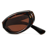 foldable polarized oval sunglasses brown TAC lenses unisex PC frame spring temples silicone nose pads travel driving fishing