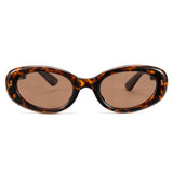 foldable polarized oval sunglasses brown TAC lenses unisex PC frame spring temples silicone nose pads travel driving fishing