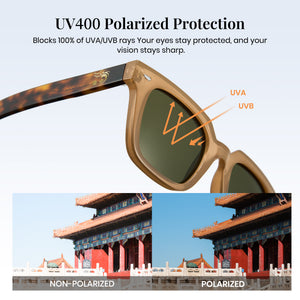 Polarized Sunglasses “Palace Museum”P1351