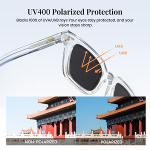 Polarized Sunglasses “Palace Museum”P1351