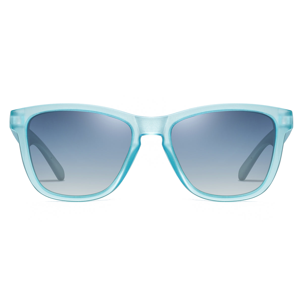 Polarized Sunglasses P1384