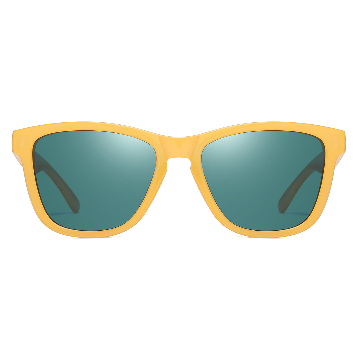 Polarized Sunglasses P1384