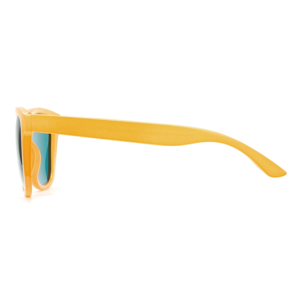 Polarized Sunglasses P1384