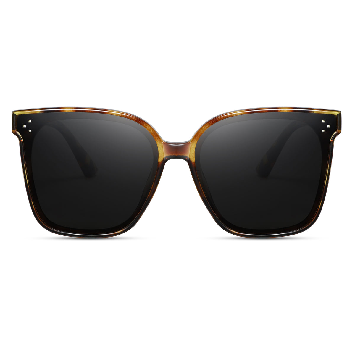 Magnetic Sunglasses 1055