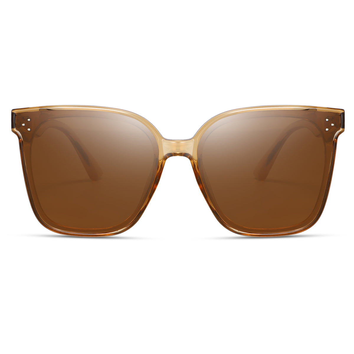 Magnetic Sunglasses 1055